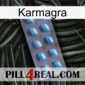 Karmagra viagra3